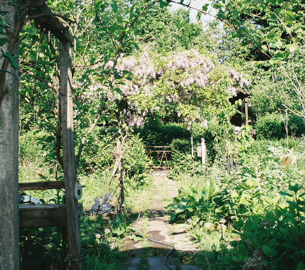 Image of the spin collective garden in Rotterdam.