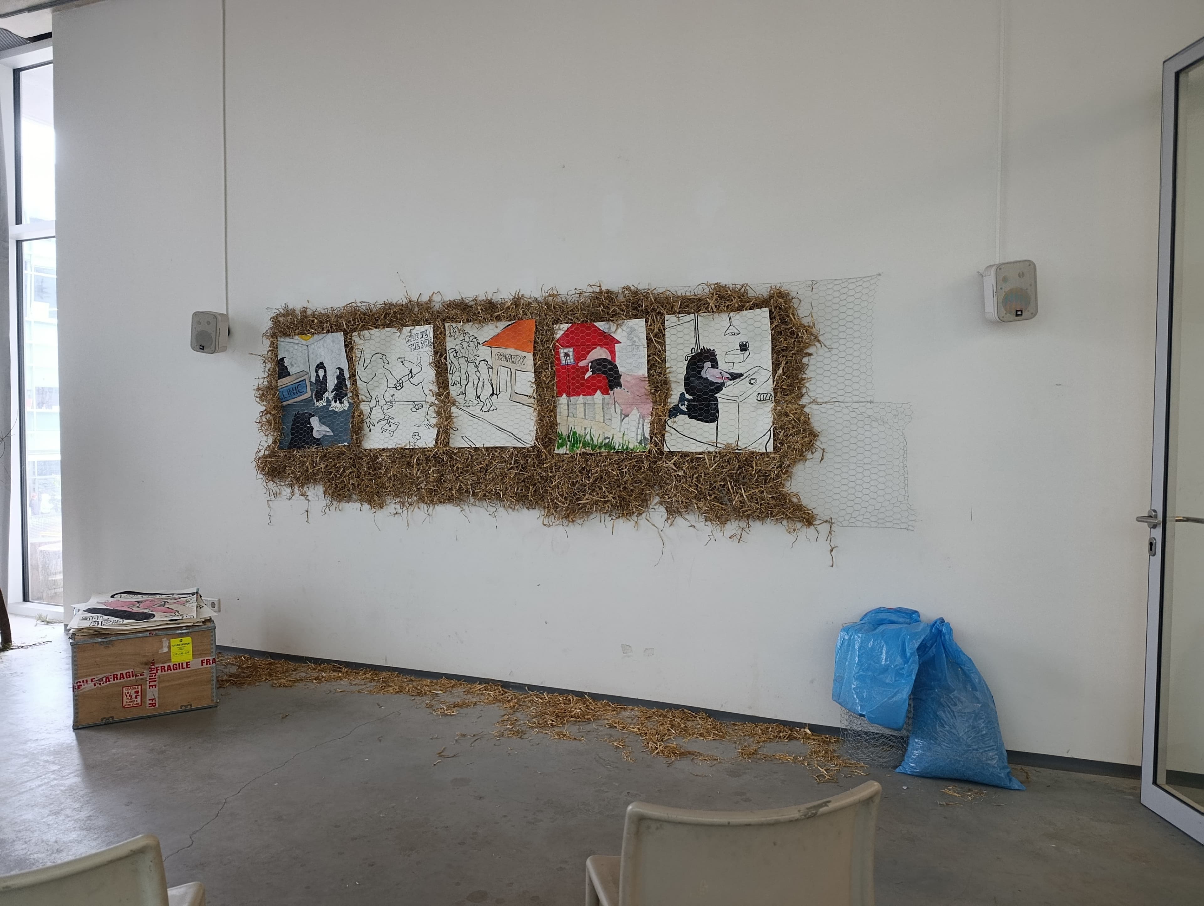 first presentation of the drawings of the Cootidian series